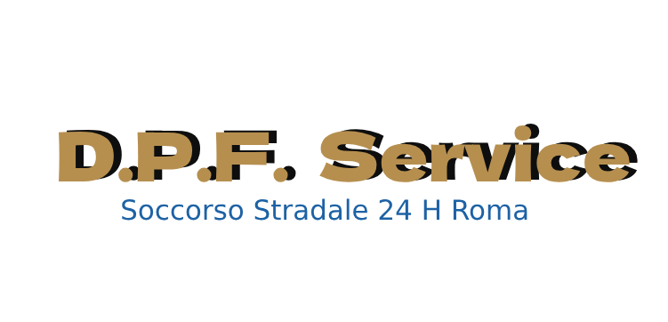D.P.F. Service